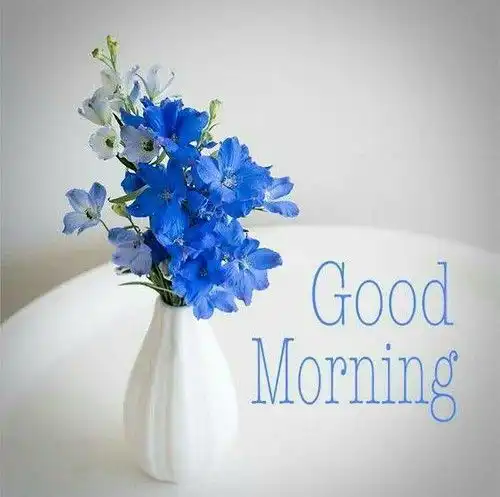 good morning photos